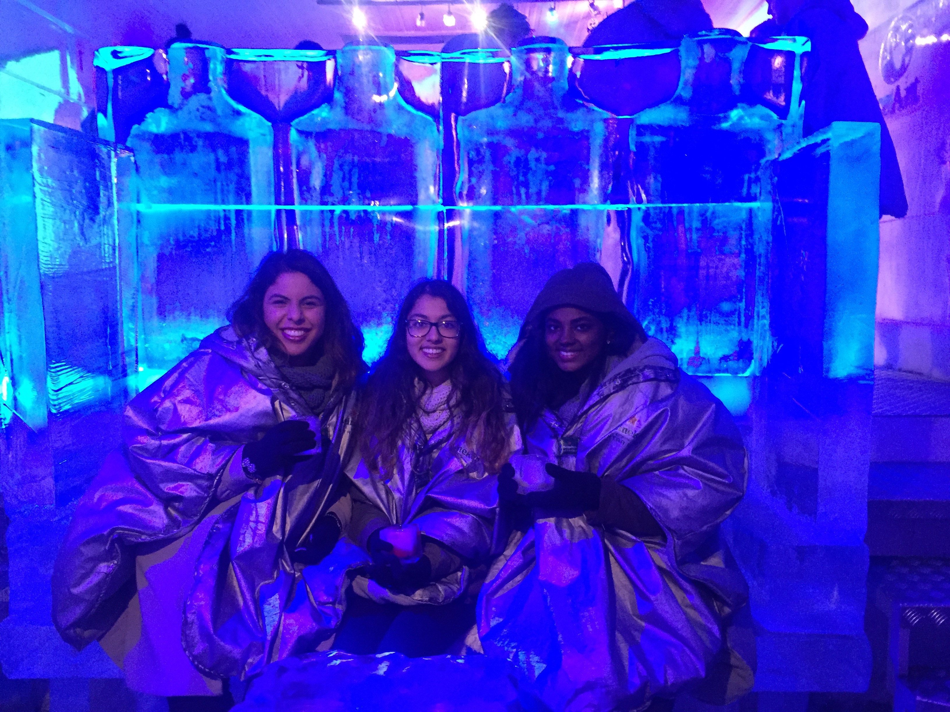 Students Ice Hotel