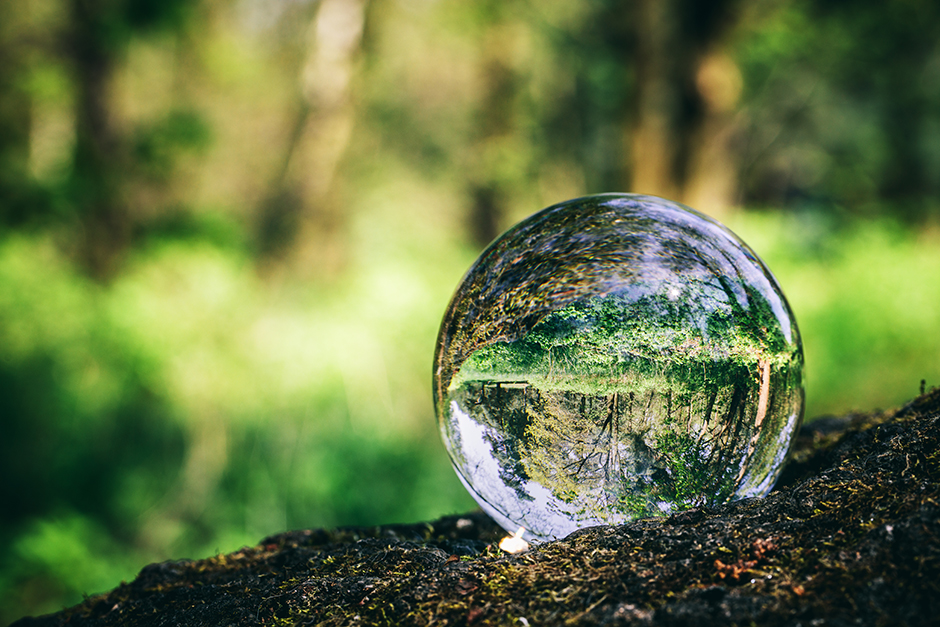 Image of nature through a crystal ball